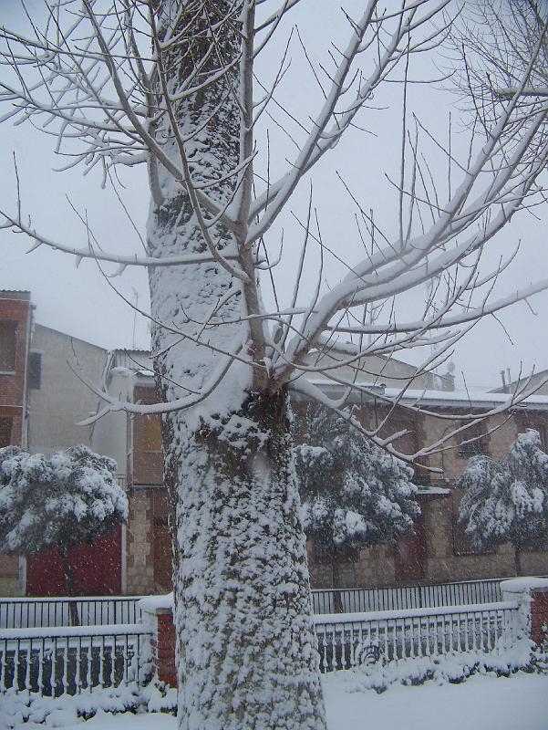 nieve 14 - 12 - 09 087